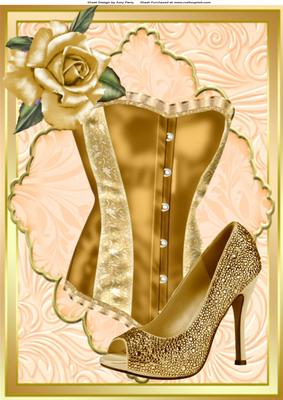 Beautiful Gold Corset & Shoe A4
