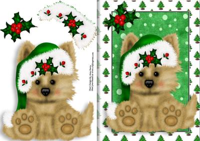 Fluffy Brown Pooch in Green Santa Hat
