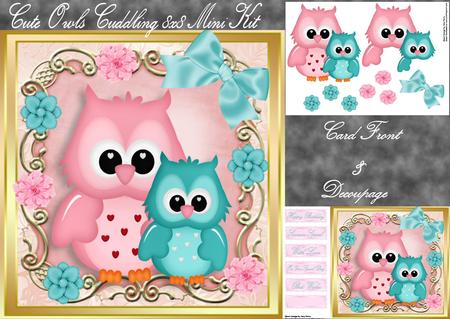 Cute Owls Cuddling 8x8 Mini Kit