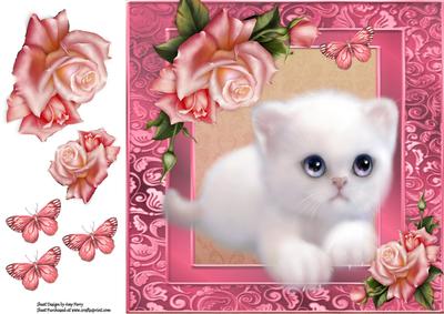 Fluffy White Kitten with Peach Rose's 8x8