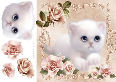 Fluffy White Kitten with Beautiful Pink Roses 8x8