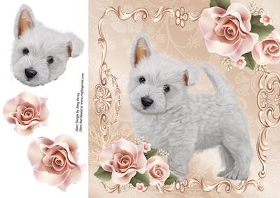 Cute Fluffy White Puppy 8x8