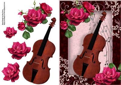 Beautiful Hot Pink Roses with Violin