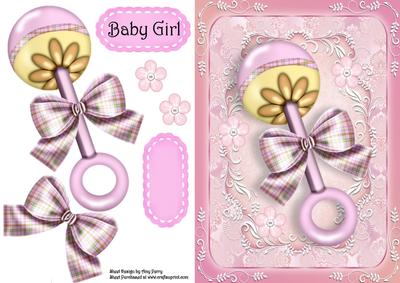 Baby Girl Rattle