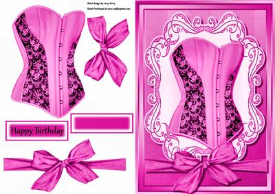 Beautiful Pink Corset in Ornate Frame