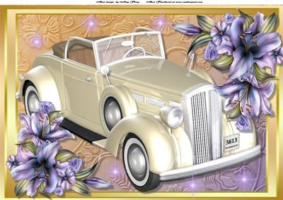 Beautiful Cream Wedding Car A4