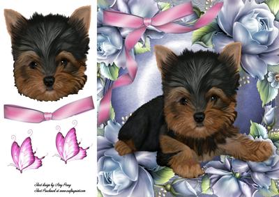 Gorgeous Yorkshire Terrier in Blue Roses 8x8