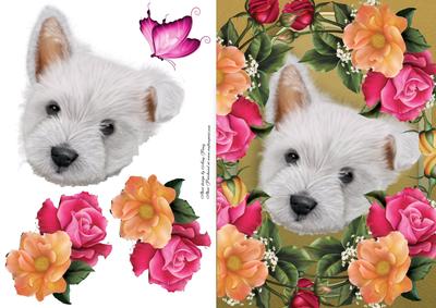 Gorgeous Westie in Bed of Flowers