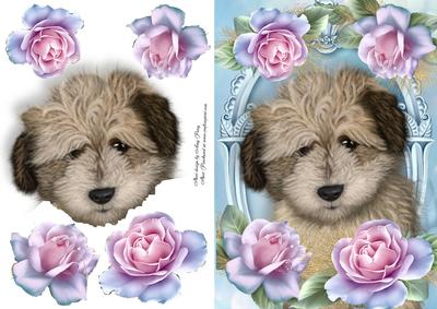 Adorable Shaggy Dog in Roses