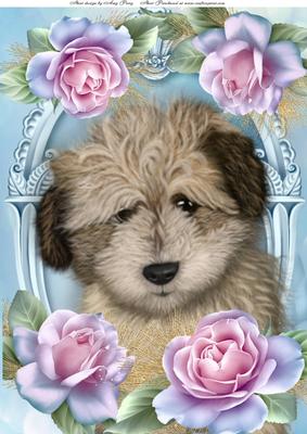 Adorable Shaggy Dog in Roses A4