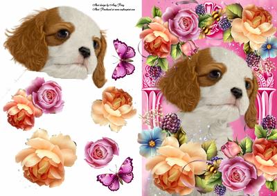 King Charles in Summer Flowers