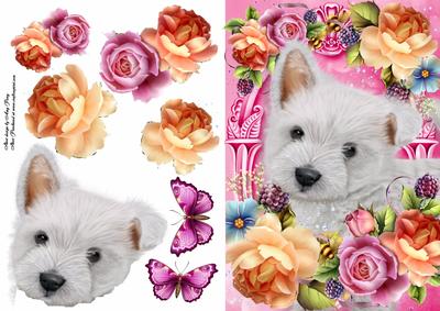 West Highland Terrier in Summer Flowers