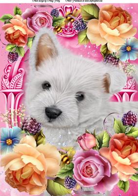 West Highland Terrier in Summer Flowers A4