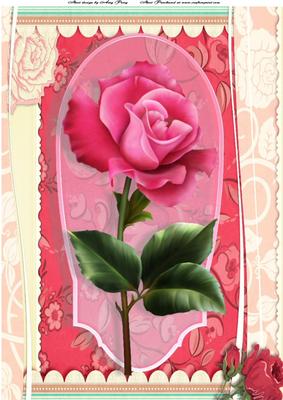 Beautiful Pink Rose A4