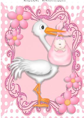 Cute Baby Girl Delivery by Stork A4