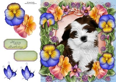 Beautiful Fluffy Dog in Pansy's 8x8