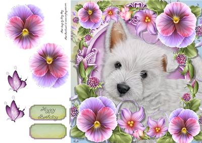 Adorable Westie in Pansy's 8x8