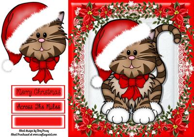 Gorgeous Cat with Santa Hat 8x8