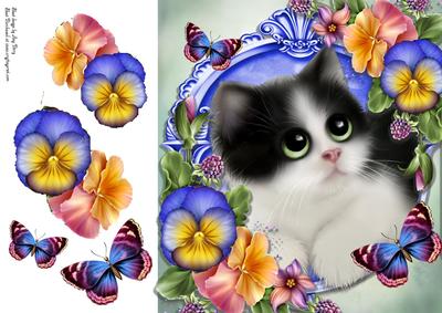 Beautiful Black & White Kitten with Flowers 8x8