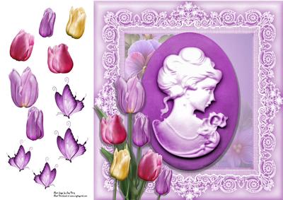 Beautiful Lilac Cameo 8x8