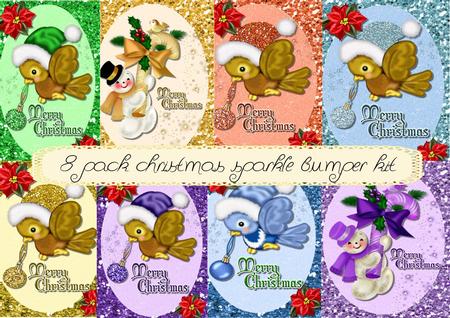 8 Pack Sparkle Christmas Bumper Kit