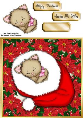 Adorable Cat Snuggled Up 8x8