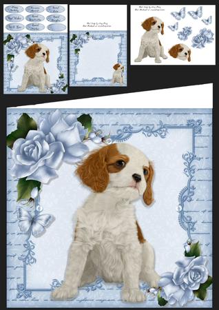 Gorgeous Cavalier with Roses 8x8 Mini Kit