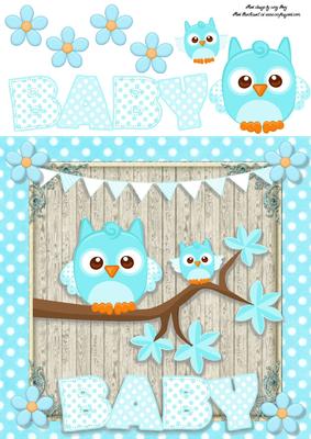 Baby Boy Owl 8x8