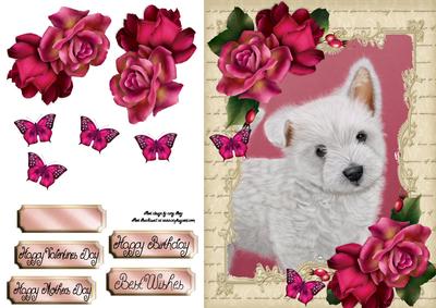 Gorgeous Westie with Hot Pink Roses