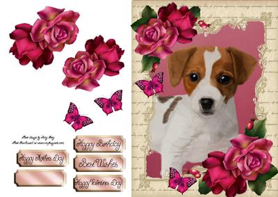 Gorgeous Jack Russel with Hot Pink Roses