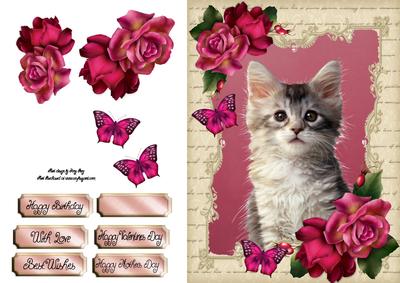 Gorgeous Brown Kitten with Hot Pink Roses