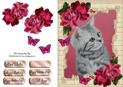 Gorgeous Grey Cat with Hot Pink Roses