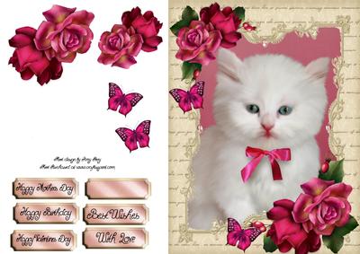 Gorgeous White Kitten with Hot Pink Roses