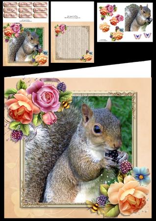 Beautiful Squirrel 8x8 Mini Kit