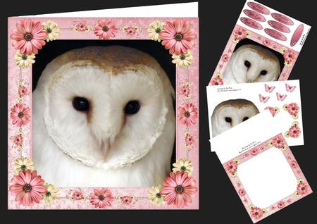 Beautiful Barn Owl with Pink Flowers 8x8 Mini Kit