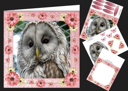 Beautiful Brown Owl with Pink Flowers 8x8 Mini Kit