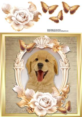 Beautiful Labrador with Cream & Gold Roses