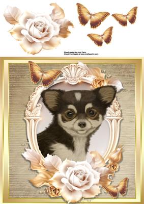 Beautiful Chihuaha with Cream & Gold Roses