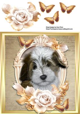 Beautiful Scruffy Dog with Cream & Gold Roses