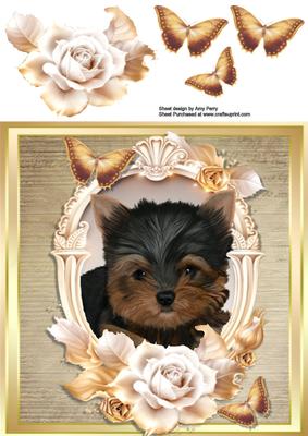 Cute Yorkshire Terrier with Cream & Gold Roses