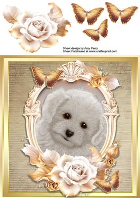 Beautiful Bichon Frise with Cream & Gold Roses