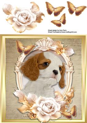 Beautiful King Charles with Cream & Gold Roses
