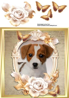 Beautiful Jack Russel with Cream & Gold Roses