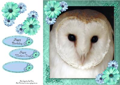 Gorgeous White Owl 8x8