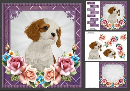 Cavalier with Summer Roses 8x8 Mini Kit
