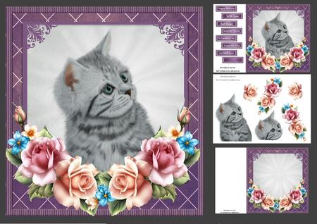 Grey Kitten with Summer Roses 8x8 Mini Kit