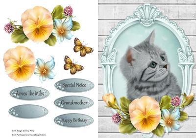 Cute Grey Cat with Yellow Pansy's