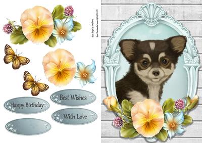 Cute Chihuhua with Yellow Pansy's