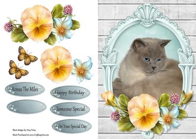 Cute Siamese Cat with Yellow Pansys