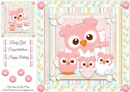 Baby Girl Owls 8x8 